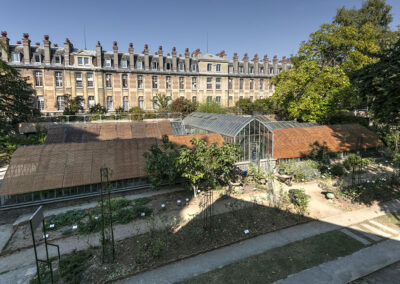 Restructuration de la faculté de Pharmacie (université Paris Cité)